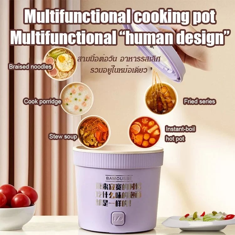 Multifunctional Mini Rice Cooker